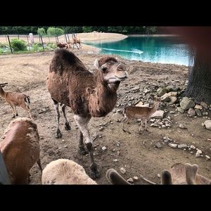 Meet your Posher, Ali